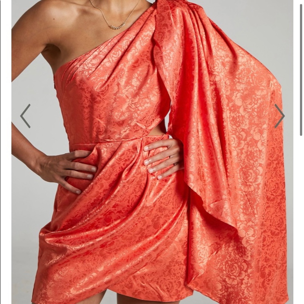 Serita dress- runaway the label